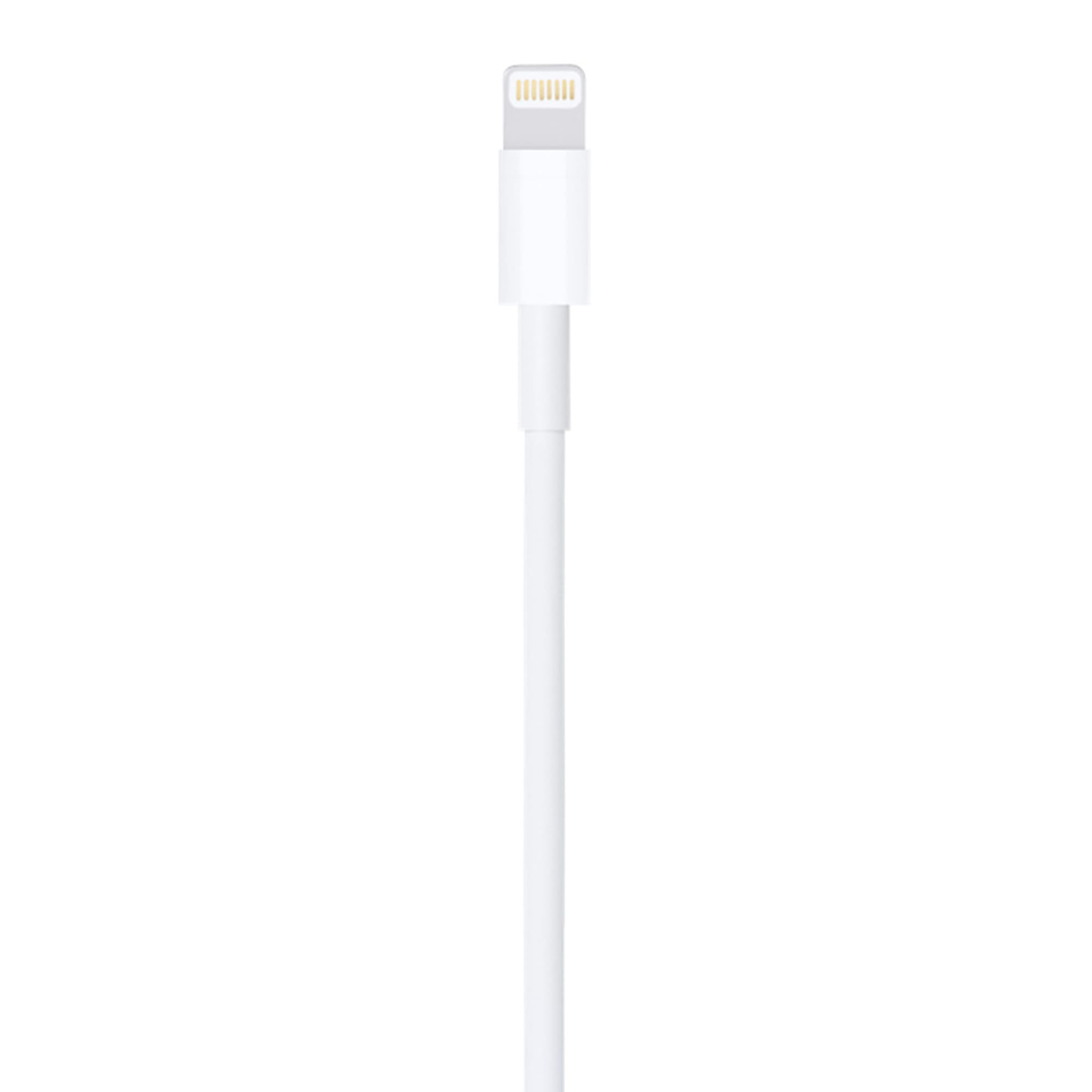 Cable Lightning A Usb Apple Md819zm/a 2m - 2