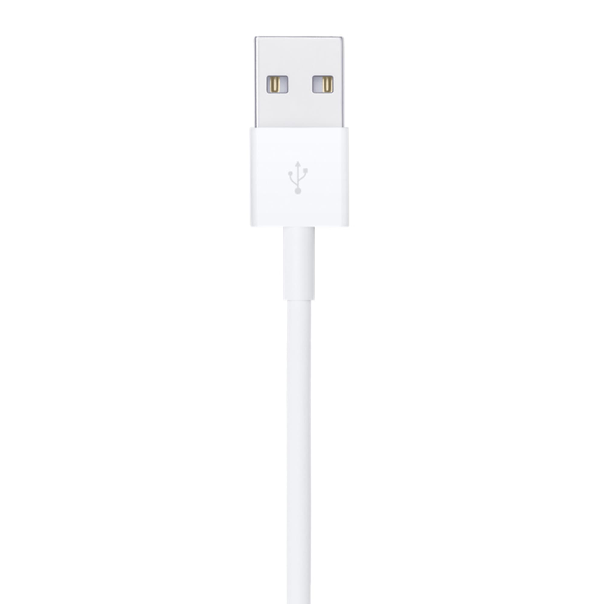 Cable Lightning A Usb Apple Md819zm/a 2m - 3