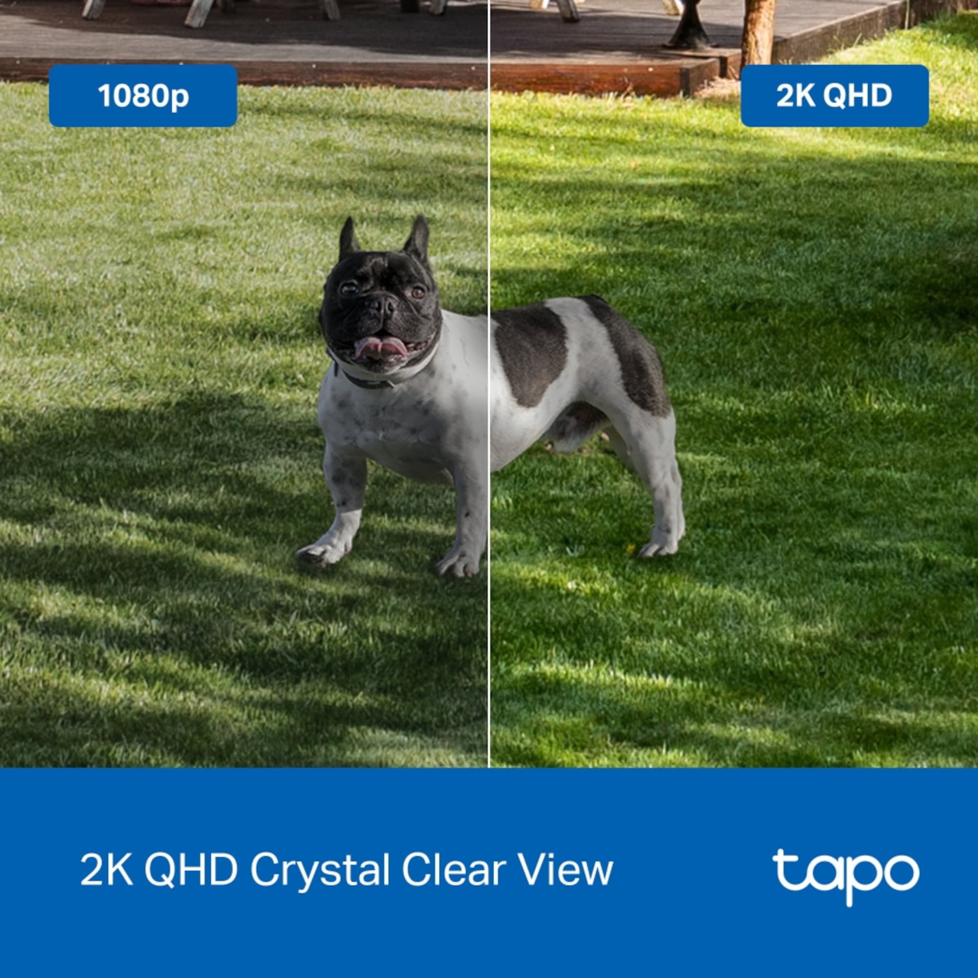 Cámara De Seguridad Tp-Link Tapo C425 Exterior Visión Nocturna 2K QHD - 9