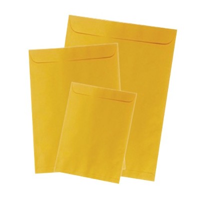 SOBRE CELUCAT/REVISTA/ORO/80GRS/25X35.3CMS/250UNI
