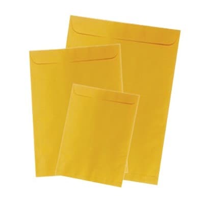 SOBRE CELUCAT/REVISTA/ORO/80GRS/22.9X32.4CMS/100UNI