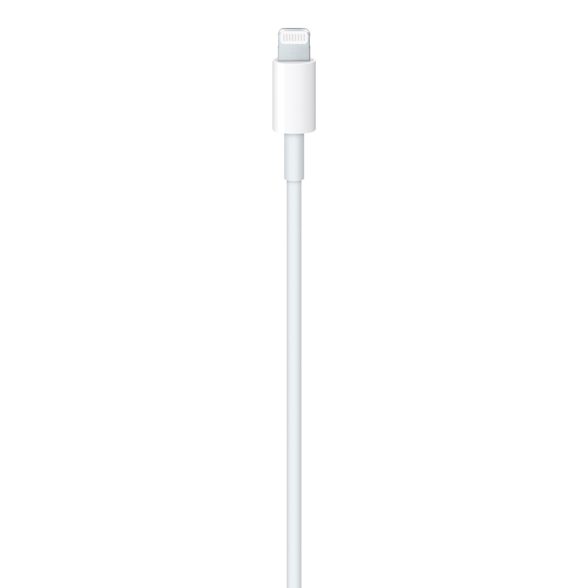 Cable De Carga Usb C A Lighting Apple 96w 2m - 2
